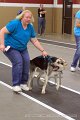 IMG_6452