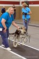 IMG_6453