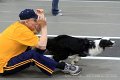 IMG_6531
