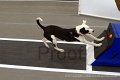 IMG_6553
