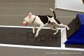 IMG_6556