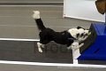 IMG_6569