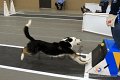 IMG_6576