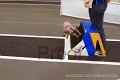 IMG_6583