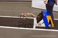 IMG_6584