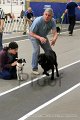 IMG_6593