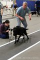 IMG_6594