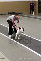IMG_6606