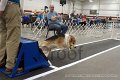 IMG_6636