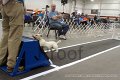 IMG_6640
