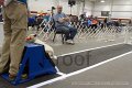 IMG_6641