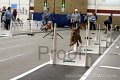 IMG_6674