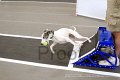 IMG_6682