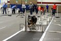 IMG_6705