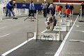 IMG_6706