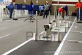 IMG_6707