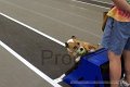 IMG_6711