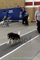 IMG_6756