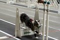IMG_6767