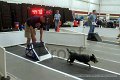 IMG_6774
