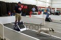 IMG_6777