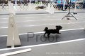 IMG_6786