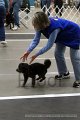 IMG_6799