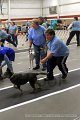 IMG_6809