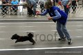 IMG_6811