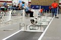 IMG_6848