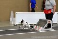 IMG_6852