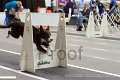 IMG_6891