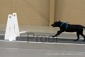 IMG_6903