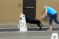 IMG_6913