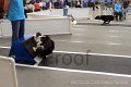 IMG_6928