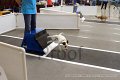 IMG_6931