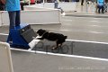 IMG_6936