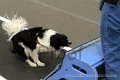 IMG_6988