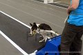 IMG_7051