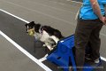 IMG_7056