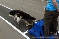 IMG_7057