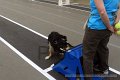 IMG_7060