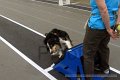 IMG_7061