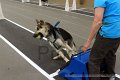IMG_7069
