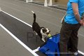 IMG_7074