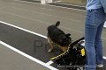 IMG_7108