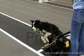 IMG_7130