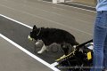 IMG_7131