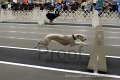 IMG_7156