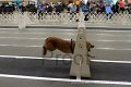 IMG_7167